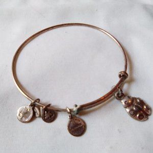 Alex and Ani Adjustable Silvertone Ladybug Charm Bracelet